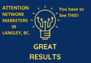Best Network Marketing Idea For Langley Reps